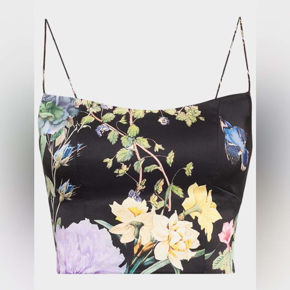 Alice + Olivia Saylor Bustier Cami Top